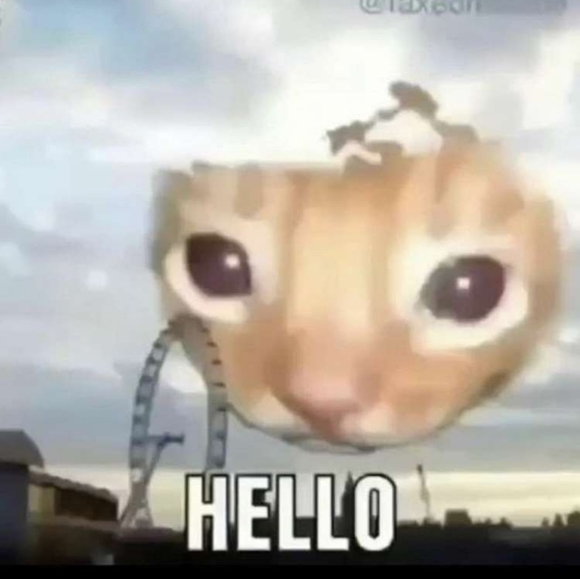 Meet your Posher, Jacob c. - Picture 1 of 1